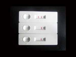 磺胺噻唑胶体金快速检测卡